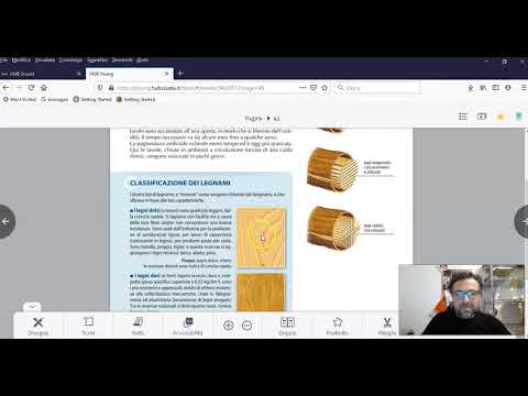 VIDEOLEZIONE 1 IL LEGNO