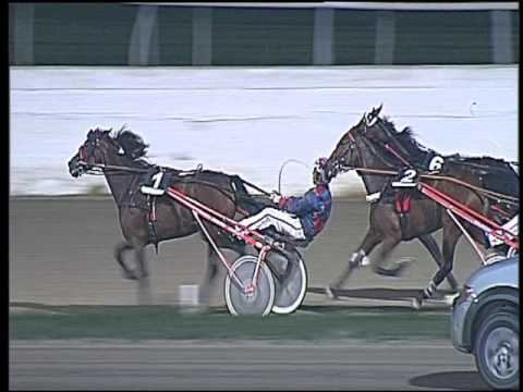 Trotto 07/10/2016 - 8ª corsa