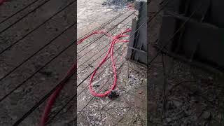 Extrusora 100mm Com Motor de 50cv - Vídeo