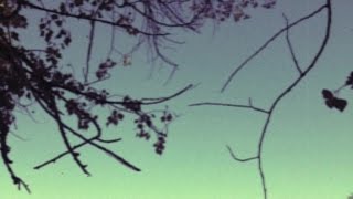 Viento Smith - Así surge un recuerdo