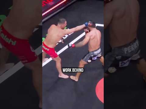 WAR: Nate Diaz vs Mike Perry Highlights (Netflix Fight)