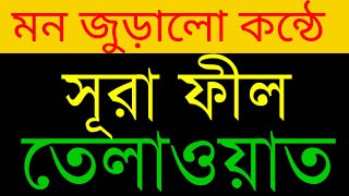 সূরা ফীল ( سورة الفيل )  আরবি উচ্চারণ ।  سورة الفيل ৷ সূরা ফীল তেলাওয়াত । Quran Tilawat
