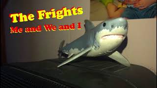 The Frights - Me and We and I (Acoustic Cover)