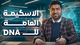 المحاضرة التأسيسية في البيولوجيا الجزيئية dna rna ️ لا تبدأ بدونها