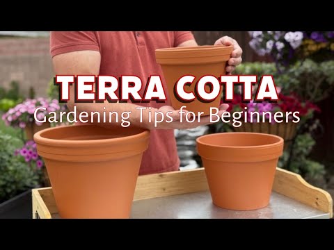 Terra Cotta Gardening 101: A Beginner's Guide to Thriving Plants | Gardening with the Williamses