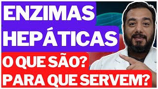 O Que Significa Enzimático No Exame De Sangue