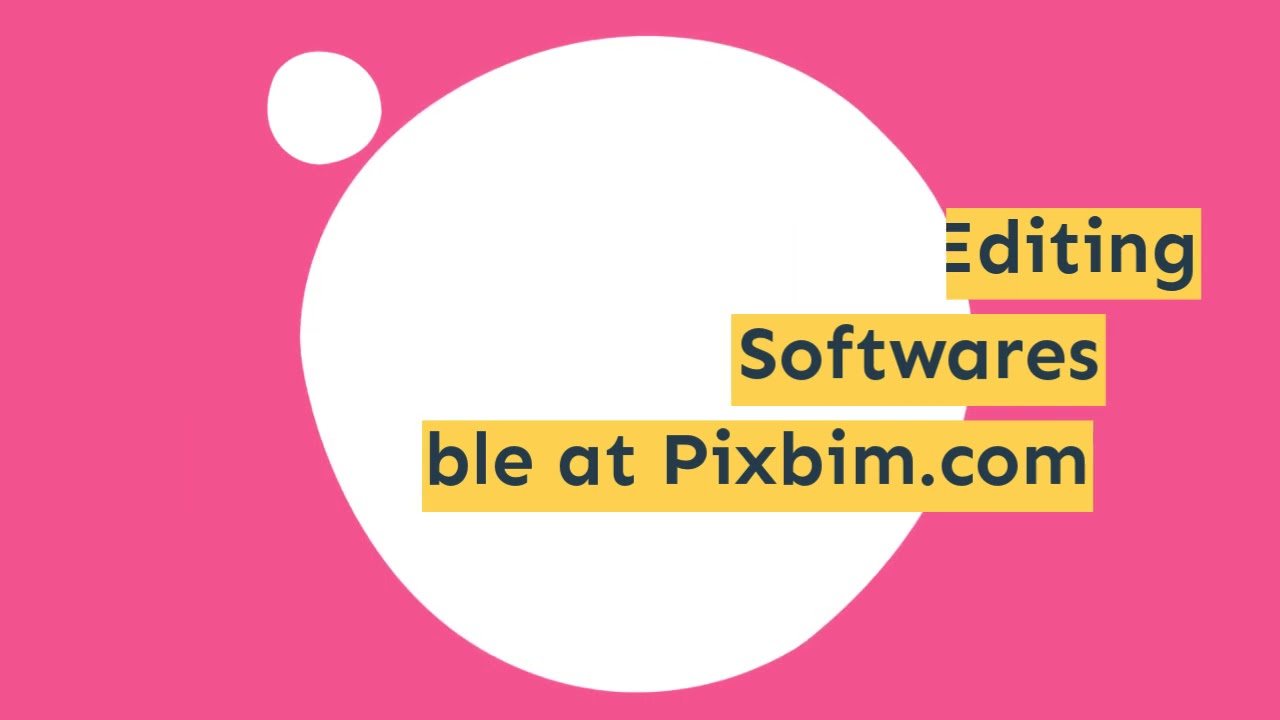 video colorization software