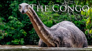Download lagu The Dinosaur That May Still Be Alive in the Congo Rainforest? The Hidden World Inside Africa mp3 Download lagu The Dinosaur That May Still Be Alive in the Congo Rainforest? The Hidden World Inside Africa mp3