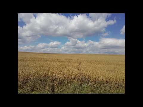 Zzubp - zZuBp - JPTDD (music video)