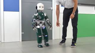 iCub Reactive Walking Robot