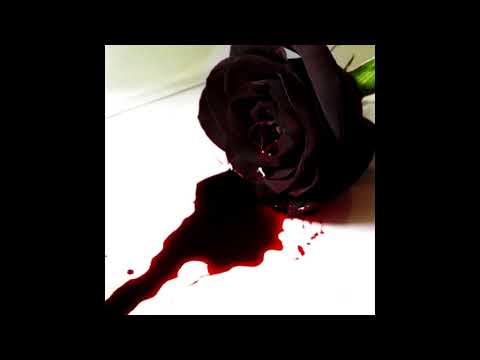 chaseluv x Lil Coffin - blackbouquet (prod. boyfifty)