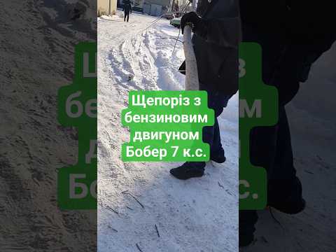 Бензиновый щепорез Бобер 7 л.с. Измельчитель веток до 60 мм - фото 1 - id-p2940933507