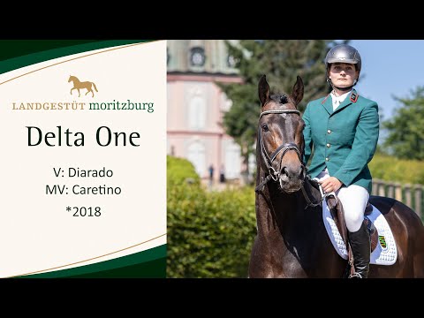 DELTA ONE v. Diarado - Caretino