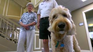 55 and over housing and apartments in Texarkana, TX