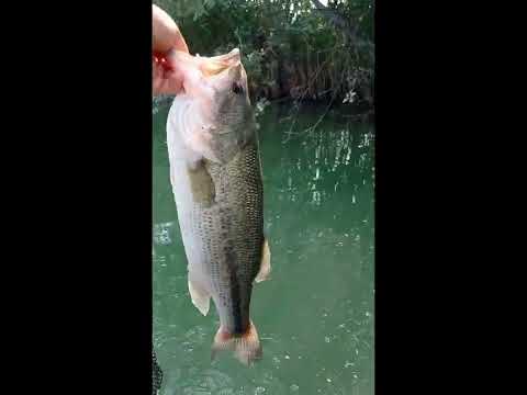 doppia giornata dal belly boat🤯