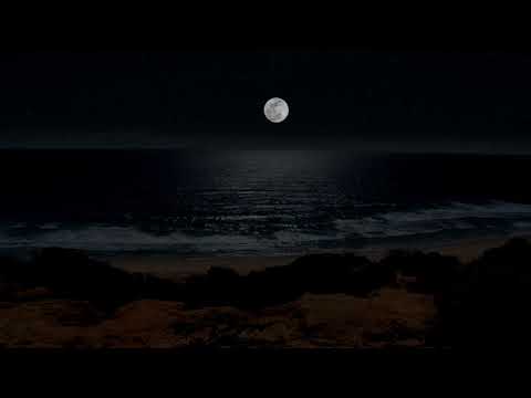 True - Filippa Giordano - Tony Hadley