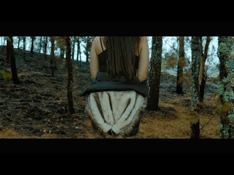 Aragon Music - Somebody You Loved (Music Video Edit)