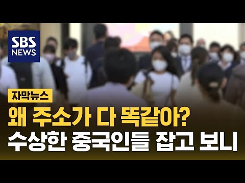 왜 주소가 다 똑같아?…수상한 중국인들 잡고 보니 (자막뉴스) / SBS