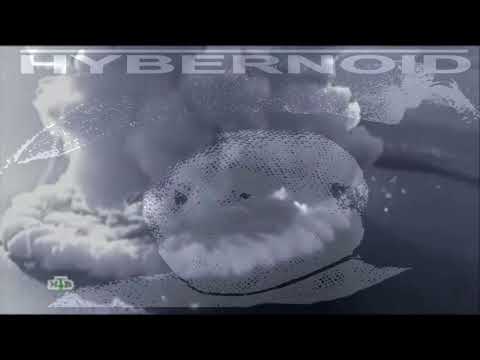 Hybernoid - Ash in the Sky (Official Video)