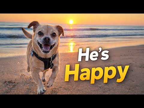 Doug Finds His Happy 