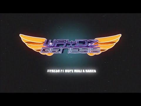 Fresh - Waydz Genesis ft Hope Mali x RareG Music Video