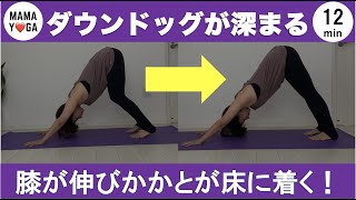 【ヨガ初心者必見！】ダウンドッグが深まるストレッチ　かかとが床に着くようになる　ダウンドックが気持ちよくなる　deeper your downdog  #48