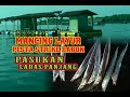 MANCING LAYUR DIMALAM HARI PESTA STRIKE IKAN BABON