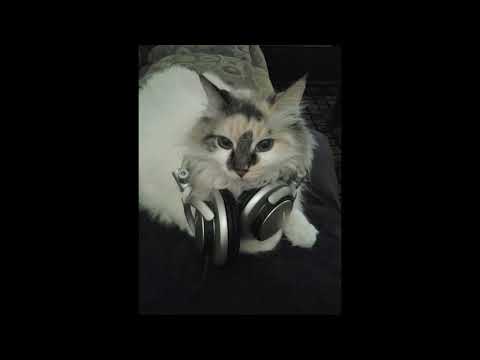 sqwore + rizza + Dnb + Breakbeat + Hyperpop Type Beat - "nexo"