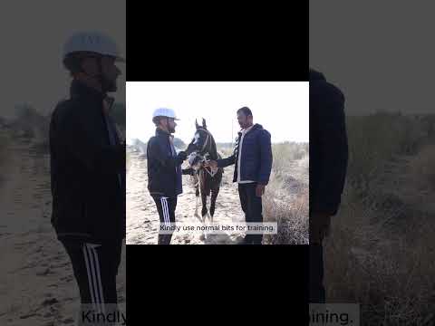Why kaanta bits shouldn’t be used? Know more on YouTube video! #ishel #horses #horsebits