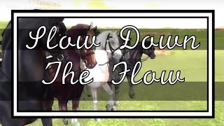 Slow Down The Flow || SSO MV