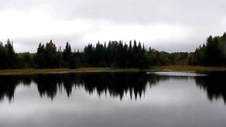 Fall Weekend Day Two