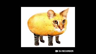 #Мышка сосиска собачка жвачка кошка картошка Ку-ку я немношка фото