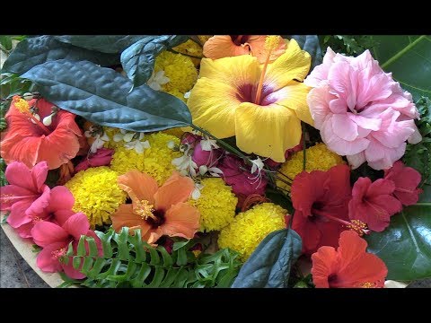 Divine flowers at Auroville's  Savitri Bhavan 21 2 2019