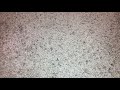 Demonstration On My Panasonic VCR On My Beauty And The Beast 1992 VHS Version 3