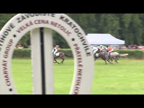 Dostihy Netolice 14. 8. 2022 - 1. dostih - Cena Envisan / Gem .a.s / Prostor Design s.r.o.