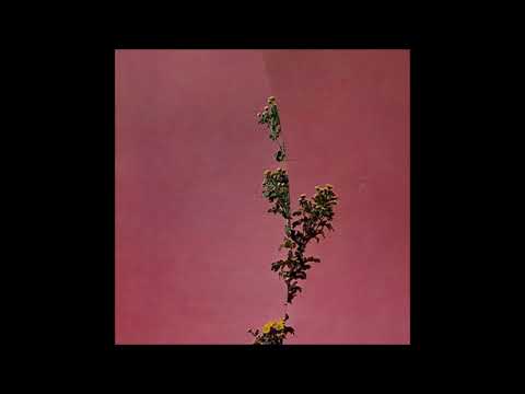 81. Arthrn - Flv [14.05.2019]