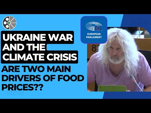 Mick Wallace: Food crisis is a price crisis driven by speculation