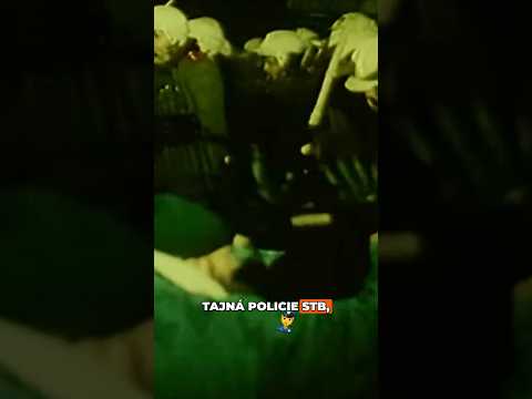 stálá za převratem v listopadu 1989 STB? temné pozadí revoluce #1989 #revoluce