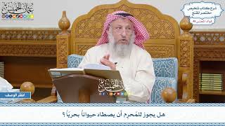 2541 - هل يجوز للمُحرِم أن يصطاد حيواناً بحريّاً؟ - عثمان الخميس