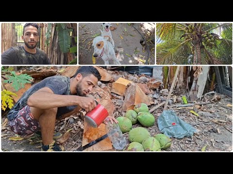 I'd been wanting to do this for a long time! / I went to get water from the coconut.