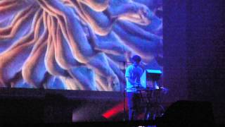 Panda Bear - 06 - Come To Your Senses (Primavera Sound 2015)