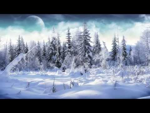 The Winter's Night- Nicholas Myers
