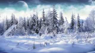 The Winter's Night- Nicholas Myers