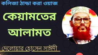 Bangla waz: Qiyamoter Alamot by Allama Delwar Hossain Sayeedi