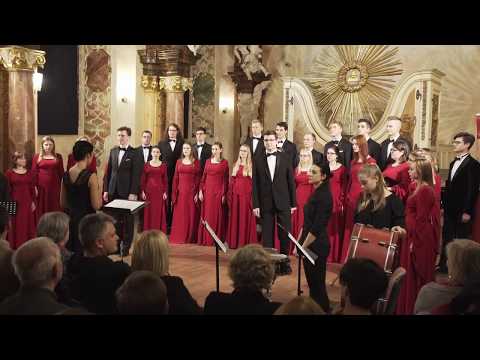 Medici Cantantes - "Gaudete!" (opr. Michael Engelhardt)