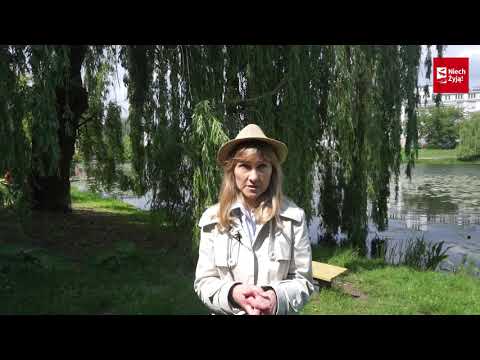 Los Ptaków w Twoich Rękach! #05 Anna Kamińska