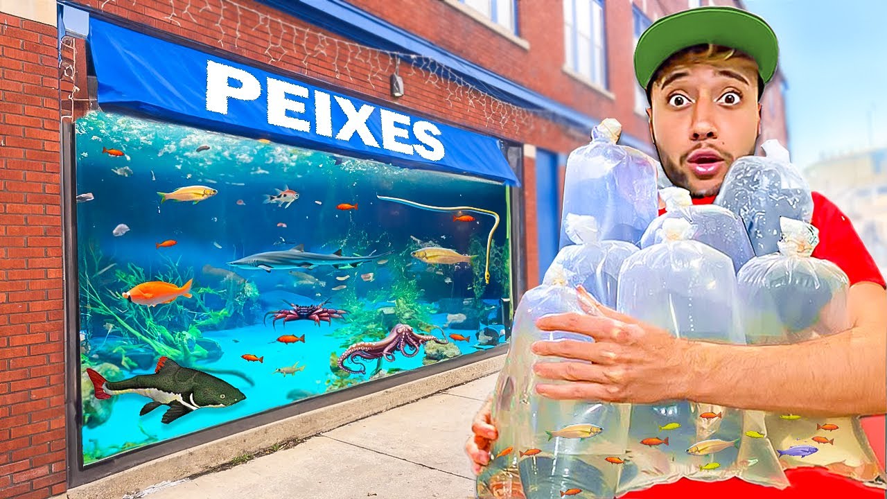 SALVANDO PEIXES COLORIDOS da LOJA de ANIMAIS *comprei tudo*