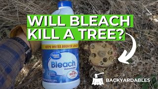 Will Beach Kill A Tree? | How To Kill A Tree
