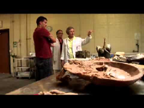 Creating plastic cadavers - 2008-09-02