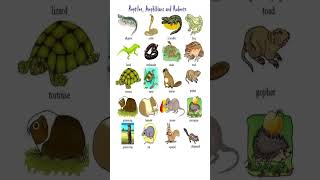 Download lagu Reptiles and Amphibians mp3